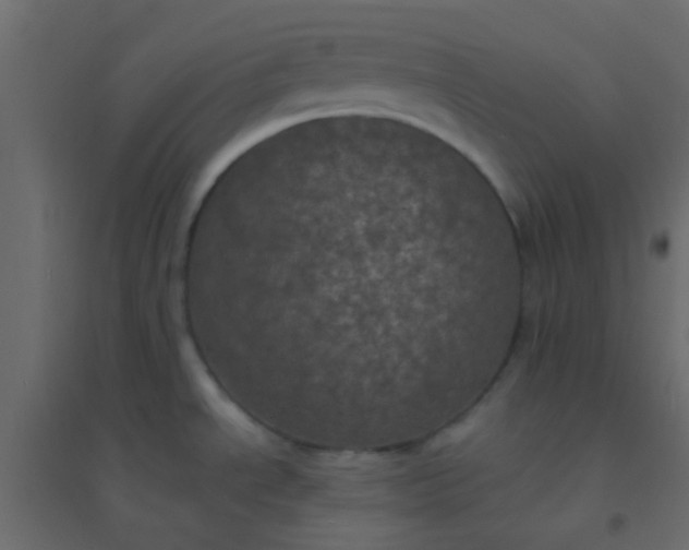 X0000094901534200712131419