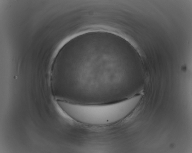 X0000094901535200712131419