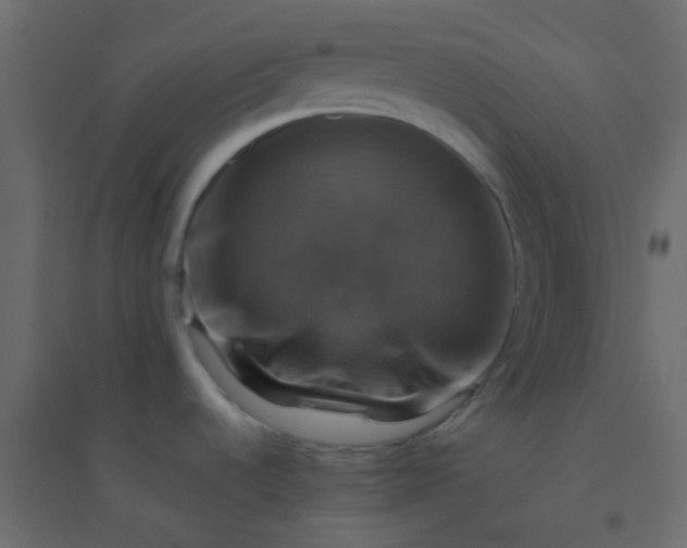 X0000094901536200712131419