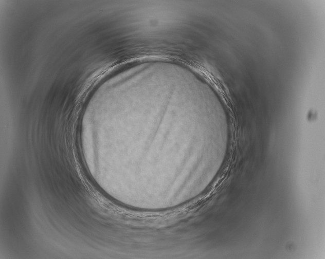 X0000094900001200712201145