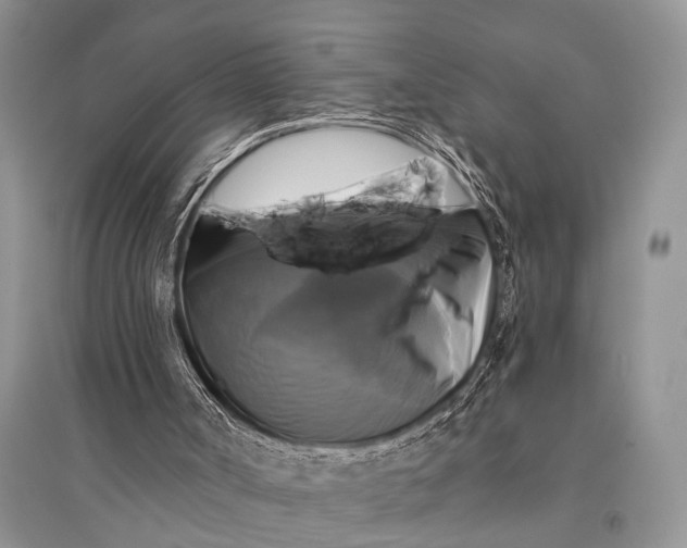 X0000094900002200712201145