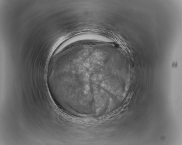 X0000094900003200712201145