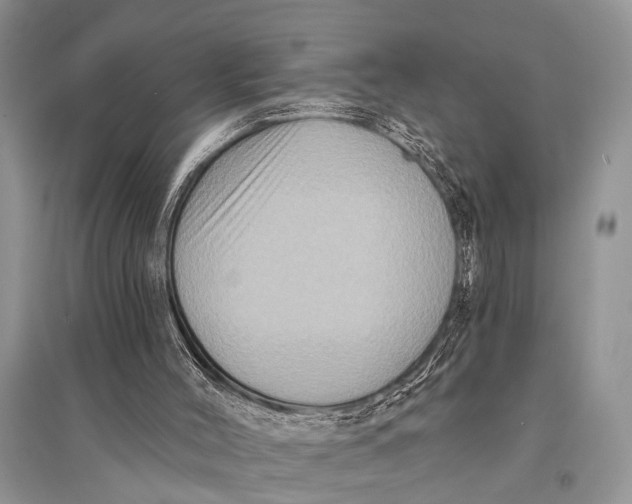 X0000094900004200712201145