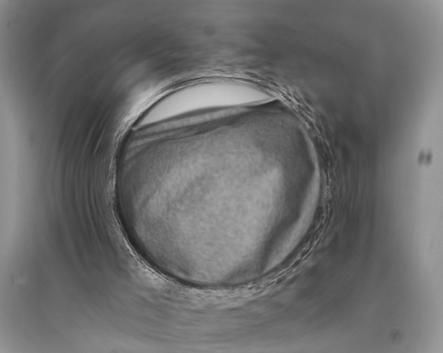 X0000094900005200712201145