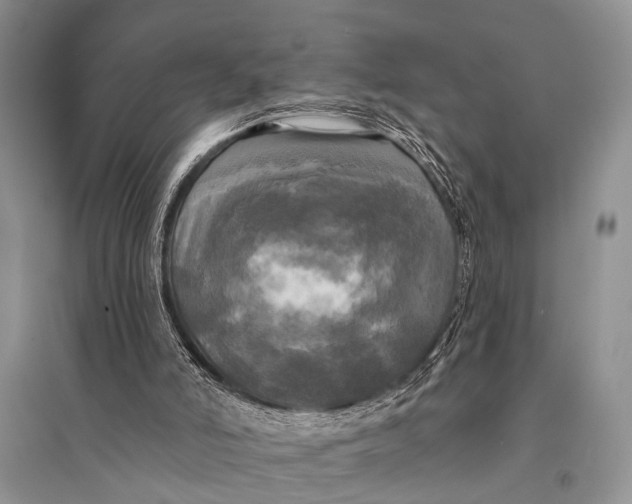 X0000094900006200712201145