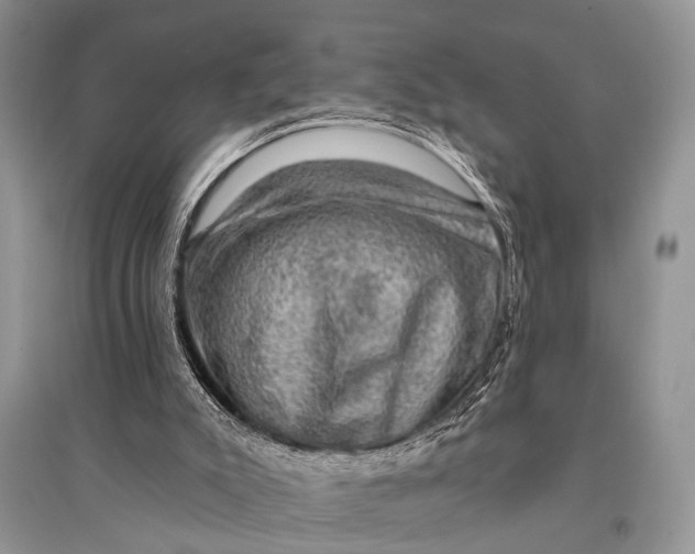 X0000094900007200712201145