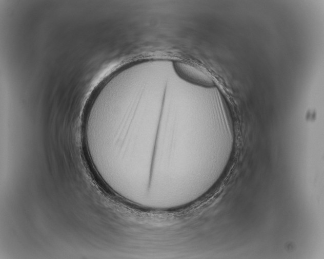 X0000094900008200712201145