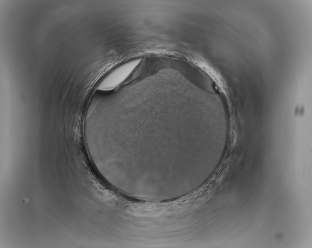 X0000094900009200712201145