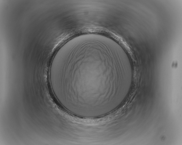 X0000094900010200712201145