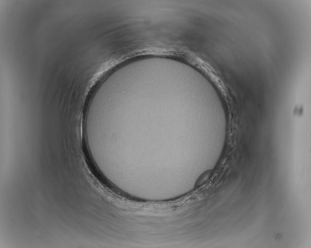 X0000094900011200712201145