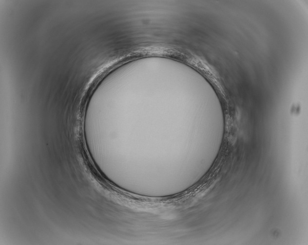 X0000094900012200712201145