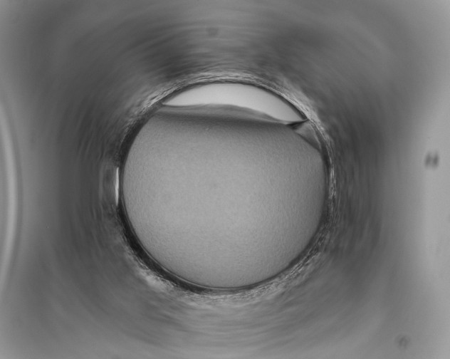 X0000094900013200712201145