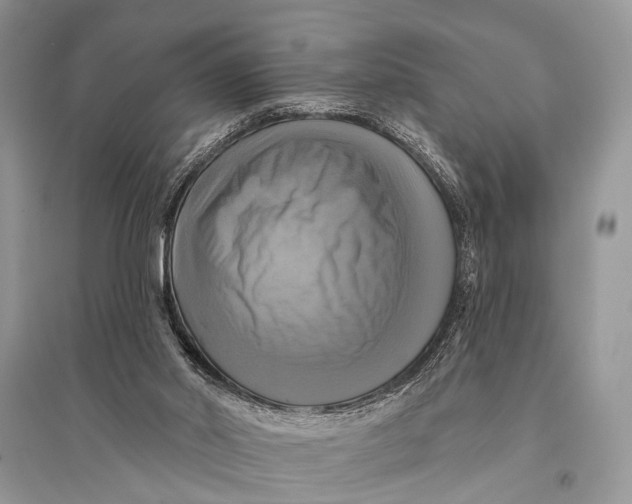 X0000094900014200712201145