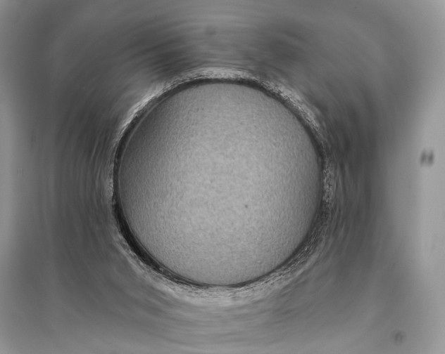 X0000094900015200712201145