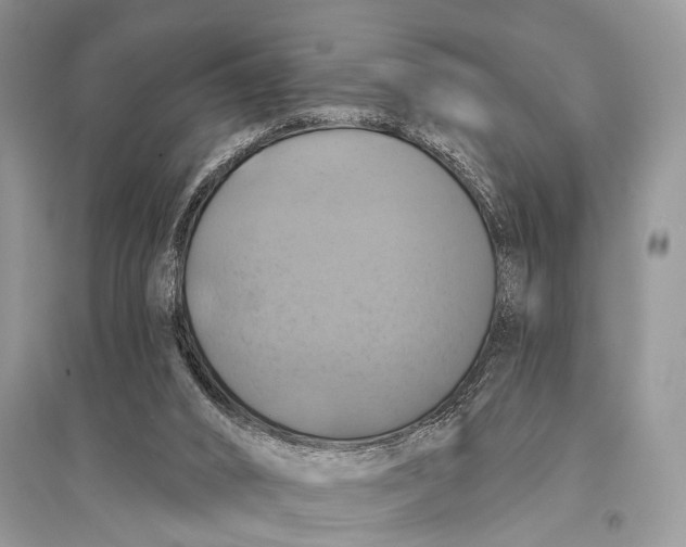 X0000094900016200712201145