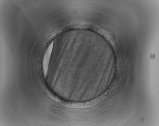 X0000094900017200712201145