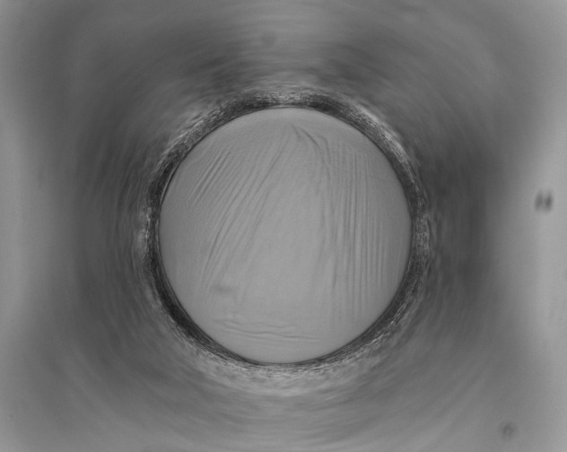 X0000094900018200712201145