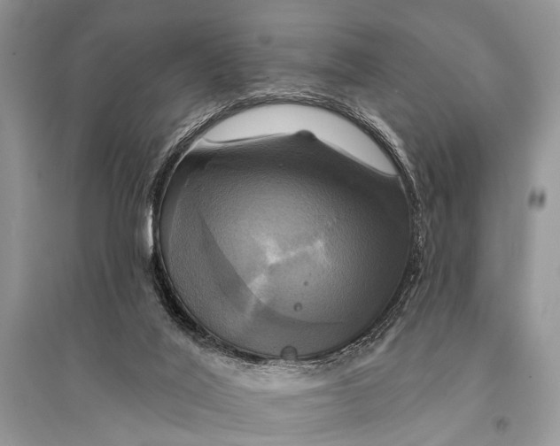 X0000094900020200712201144