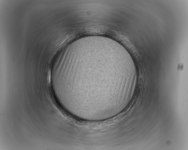 X0000094900021200712201144