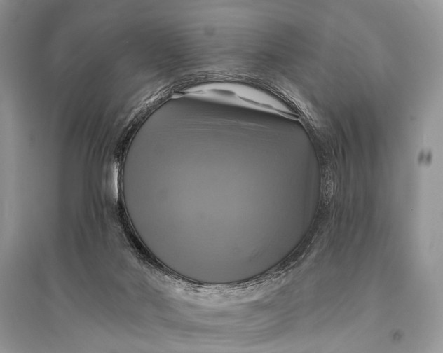 X0000094900022200712201144