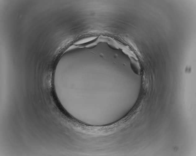 X0000094900023200712201144