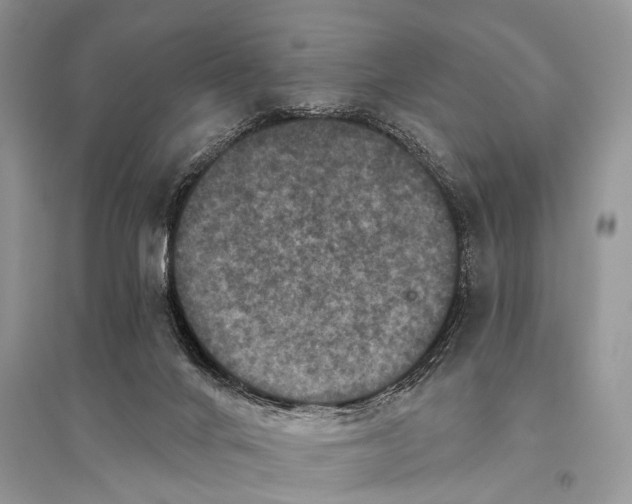 X0000094900024200712201144