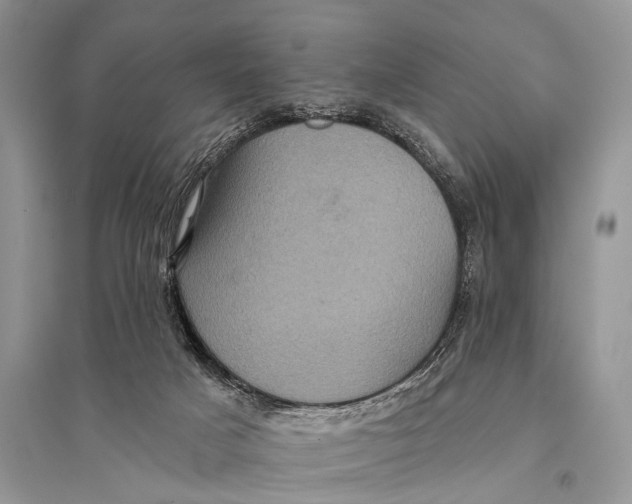 X0000094900025200712201144