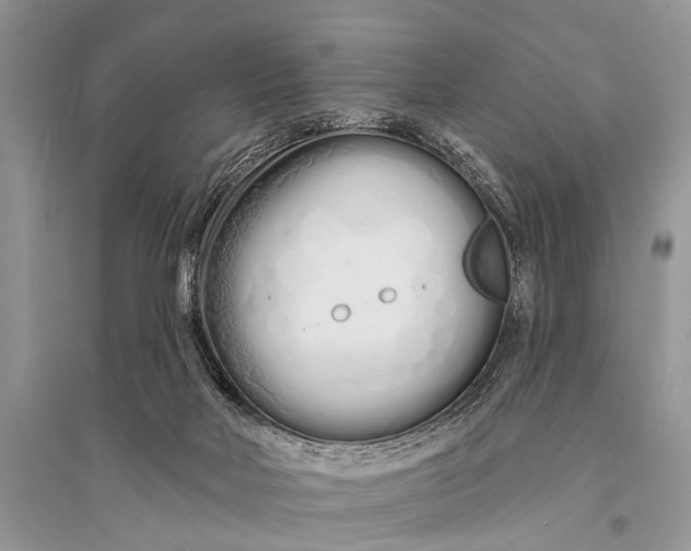 X0000094900026200712201144