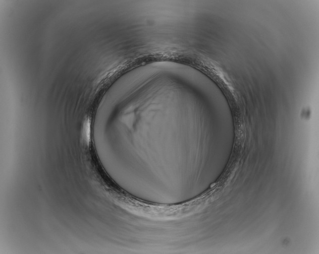 X0000094900027200712201144