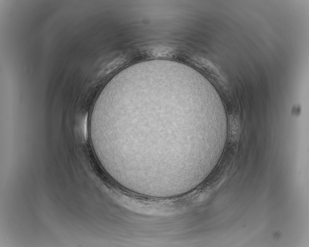 X0000094900028200712201144