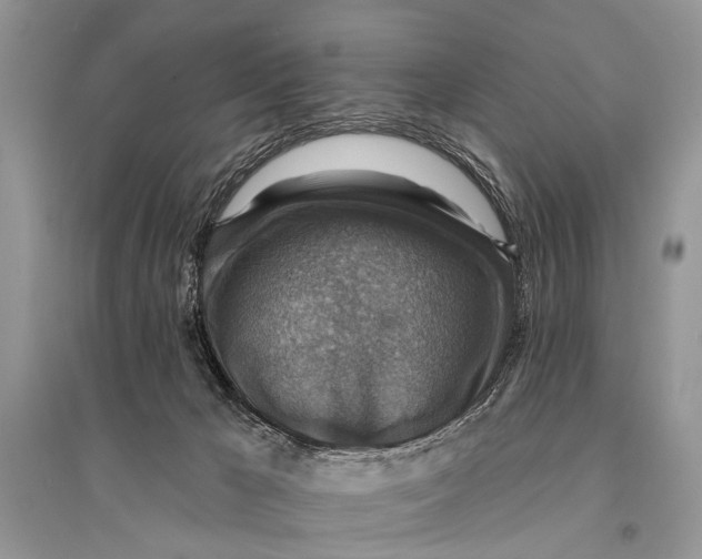 X0000094900029200712201144