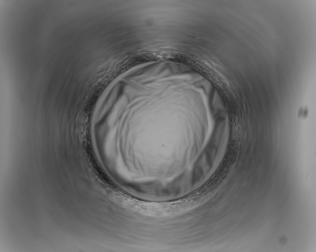 X0000094900030200712201144