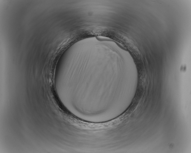 X0000094900031200712201144