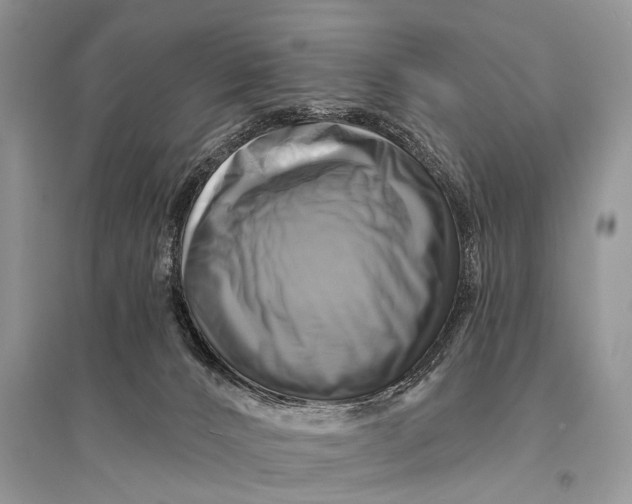 X0000094900032200712201144