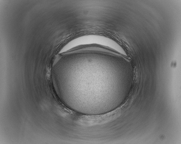 X0000094900033200712201144