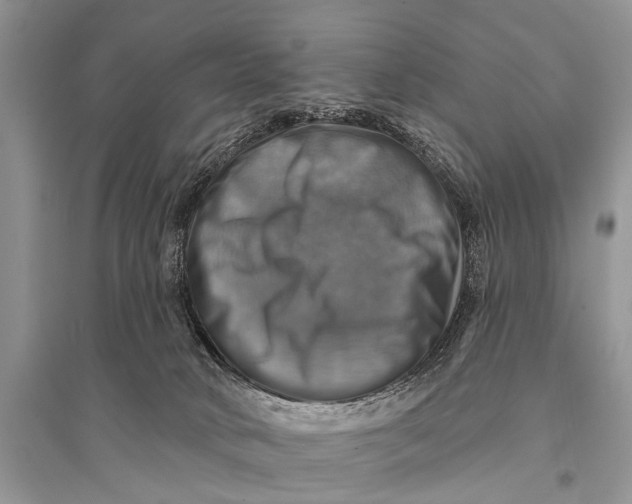 X0000094900034200712201144