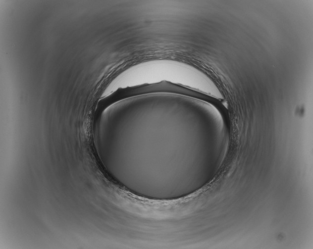 X0000094900035200712201144