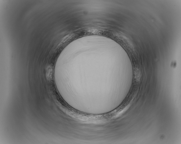 X0000094900036200712201144