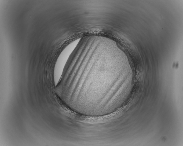 X0000094900037200712201144