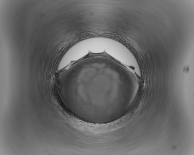 X0000094900039200712201144