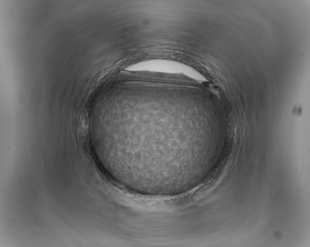 X0000094900040200712201144