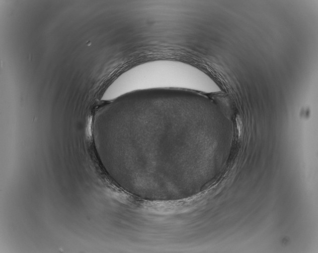 X0000094900041200712201144