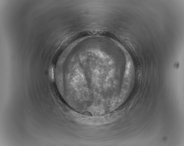 X0000094900042200712201144