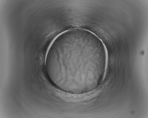 X0000094900043200712201144