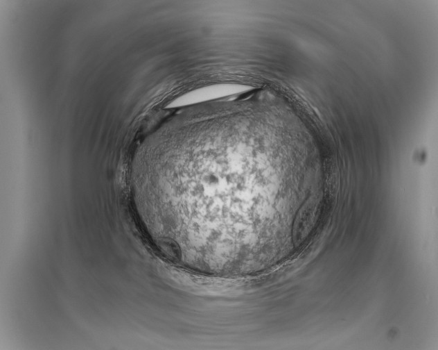 X0000094900044200712201144