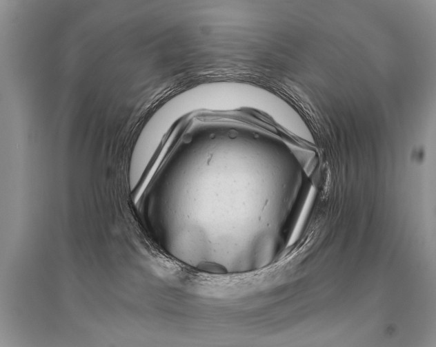 X0000094900045200712201144