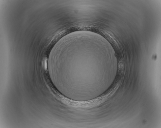 X0000094900046200712201144