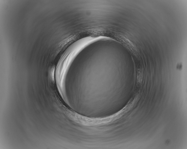 X0000094900047200712201144