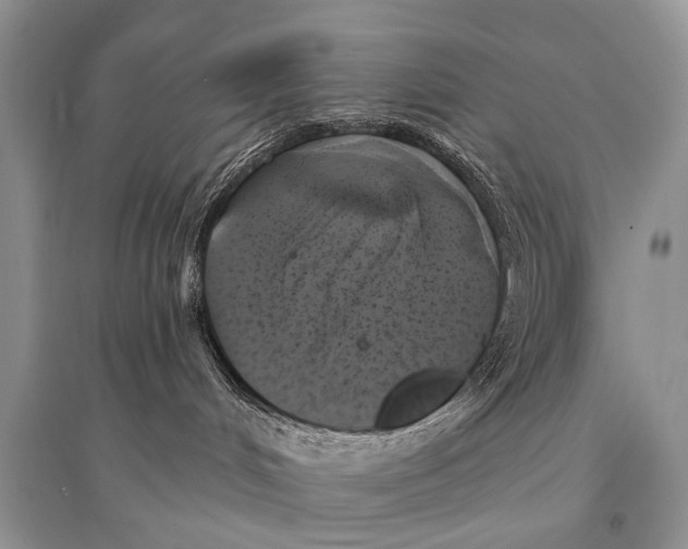 X0000094900048200712201144