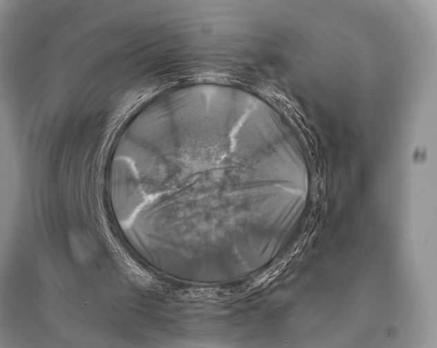 X0000094900049200712201143